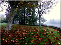H4672 : Fallen leaves, Knockgreenan Avenue, Omagh by Kenneth  Allen