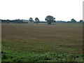 Flat farmland, Washdyke Bridge