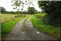 Track to Llwyn