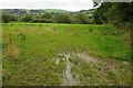 Wet field entrance