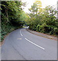 Wooded part of the B4246 Limekiln Road, Abersychan