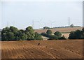 Near Hildersham: north-east from the A1307