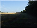 Farm track beside disused railway