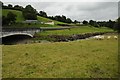 Sheep beside Afon Twrch