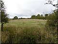 Abandoned farmland, Springhill