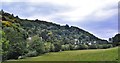 Symonds Yat