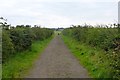 NS6770 : Track near Blacklands by Robert Murray