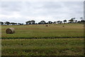 Harvested Fields