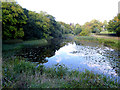 S4681 : The Lake, Heywood Gardens by Oliver Dixon
