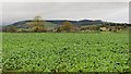 Arable land, Byton