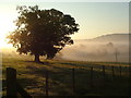SO4272 : Teme Valley morning mists near to Nacklestone by Peter Evans