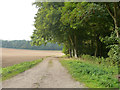 Estate track, Audley End