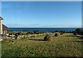 Hay cocks on cliff-top field at Ballymartin