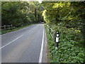 Titnore Lane looking north from small bridge