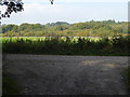 Looking across field from track junction in Titnore Wood