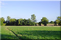 Pasture and footpath north-east of Wheaton Aston, Staffordshire