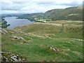 NY4319 : Walking the dog off the lead, Hallin Fell by Christine Johnstone