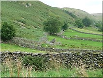 NY4318 : Ruined structure south of Martindale Old Church by Christine Johnstone