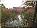 Marston Vale visitor centre