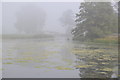 SO8844 : Croome River on a misty morning #5 by Philip Halling
