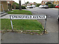 TQ6394 : Springfield Avenue sign by Geographer