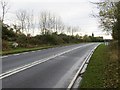 A456 and milestone