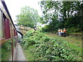 Fans record the steam train at Beck Hole