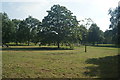 TQ2780 : View of grass and trees in Hyde Park from the path next to N Carriage Drive #3 by Robert Lamb