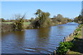 Chichester Canal