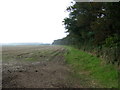 Farmland beside small wood, Scotsfield