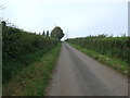 Minor road towards Creca