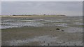 Holy Isle from the sands