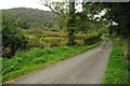 Country road near Troedrhiwbeynon