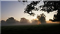SU6947 : Early morning, Hoddington Estate, Upton Grey by Hugh Chevallier