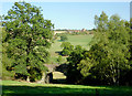 Pasture and bridge north-west of Arley, Worcestershire