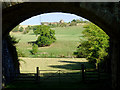 Riverside pasture north-west of Upper Arley, Shropshire