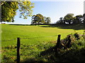 Corkragh Townland