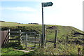 Coastal Path to the Isle of Whithorn