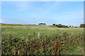 Farmland at the Isle of Whithorn