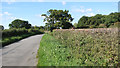 Approaching Ketteringham Road on St Thomas Lane