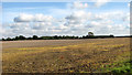 Harvested field north of Stanfield Road