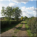 Bridle path from Childerley to St Neots Road