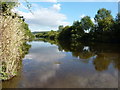 River Severn at Monkmoor