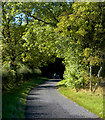 Road to Paradise, near Thixendale