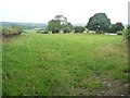 Farmland at Celleron