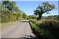 Horton Road at Totteroak.