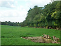 Field with old sheep dip