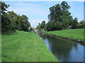 The New River south of Whittington Road, N22 (2)