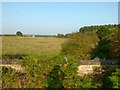 Carburton Water Meadows