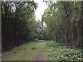 Bateswood SWT Reserve: track round perimeter of plateau